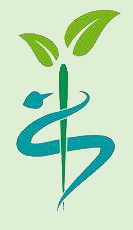 Heilpraktiker K&ouml;ppel